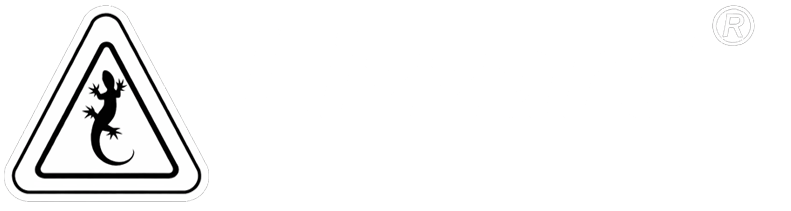 Lizzard Sports | Jassen, Hoodies & Sportkleding